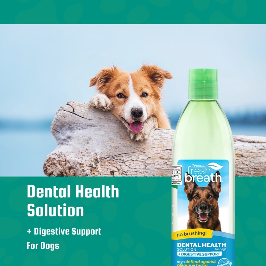 Dental Health Solution Plus Digestive Support For Dogs