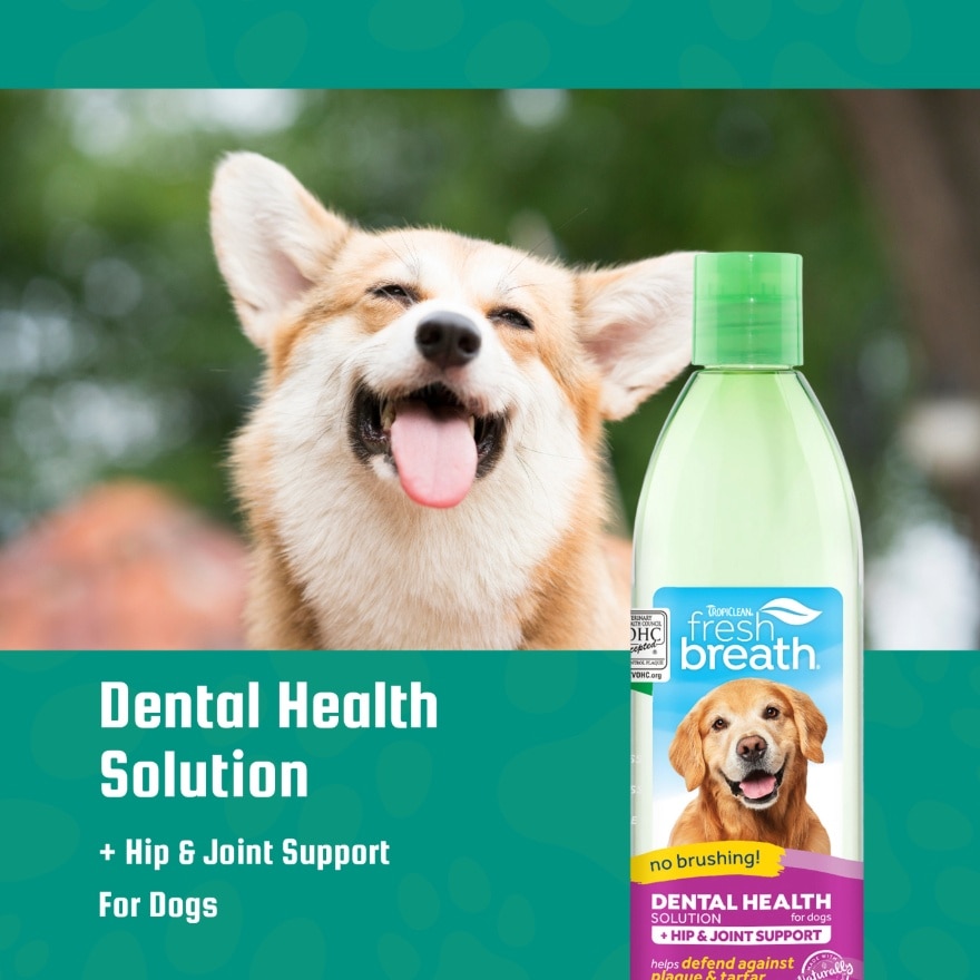 Dental Health Solution Plus Hip & Joint For Dogs