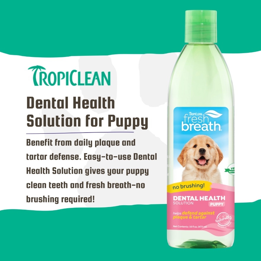 Dental Health Solution For Puppies