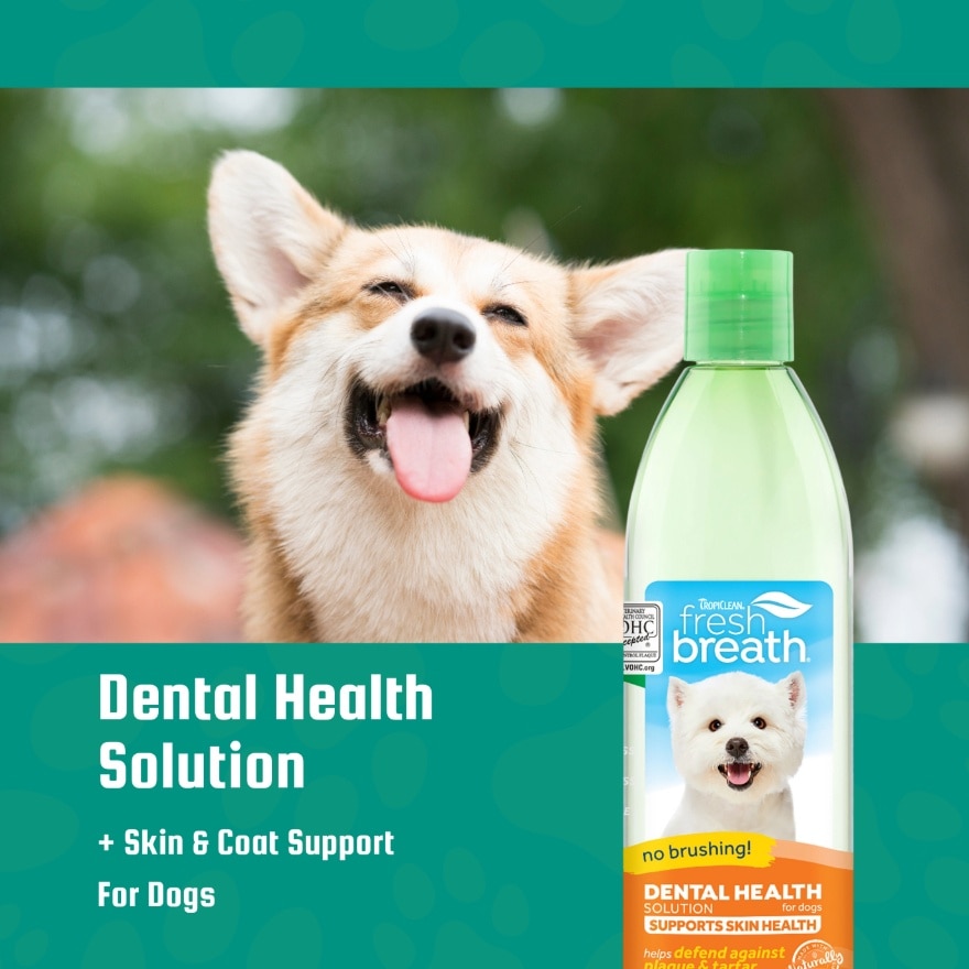 Dental Health Solution Plus Skin Health For Dogs