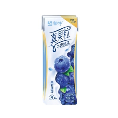 REAL FRUITS Milk Drink Blueberry 250Ml