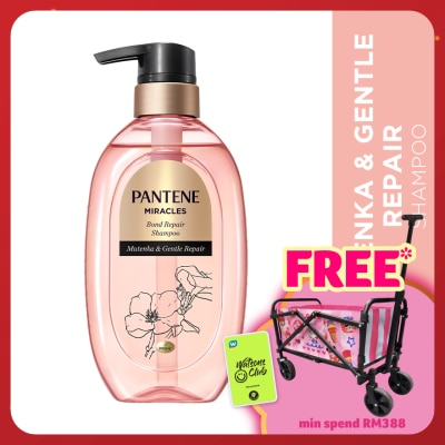 PANTENE Miracles Shampoo Mutenka & Gentle Repair 440g