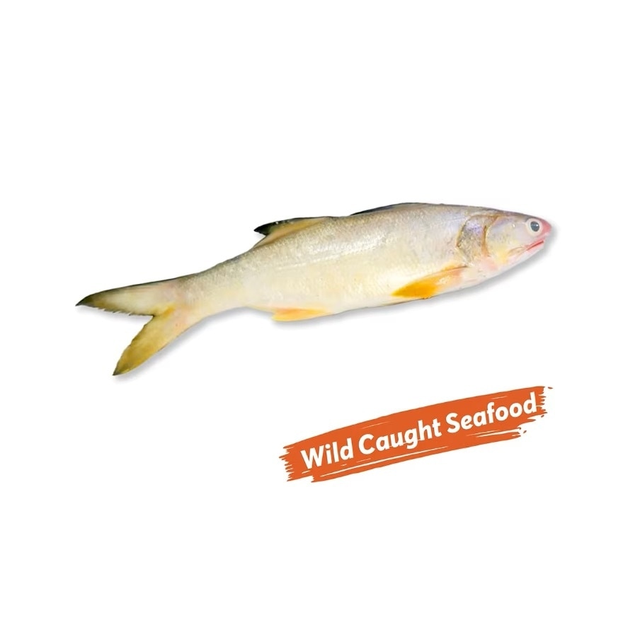 Wild Caught Sabah Threadfin Whole 401g