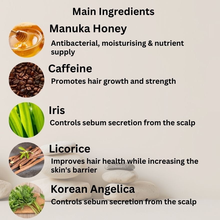 Intensive Scalp Care Shampoo 380ml