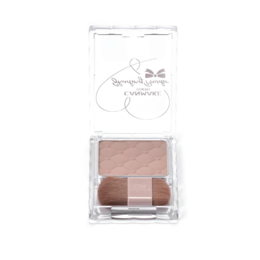 Shading Powder 04 Ice Gray Brown image