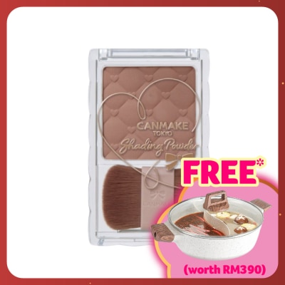 CANMAKE Shading Powder 04 Ice Gray Brown