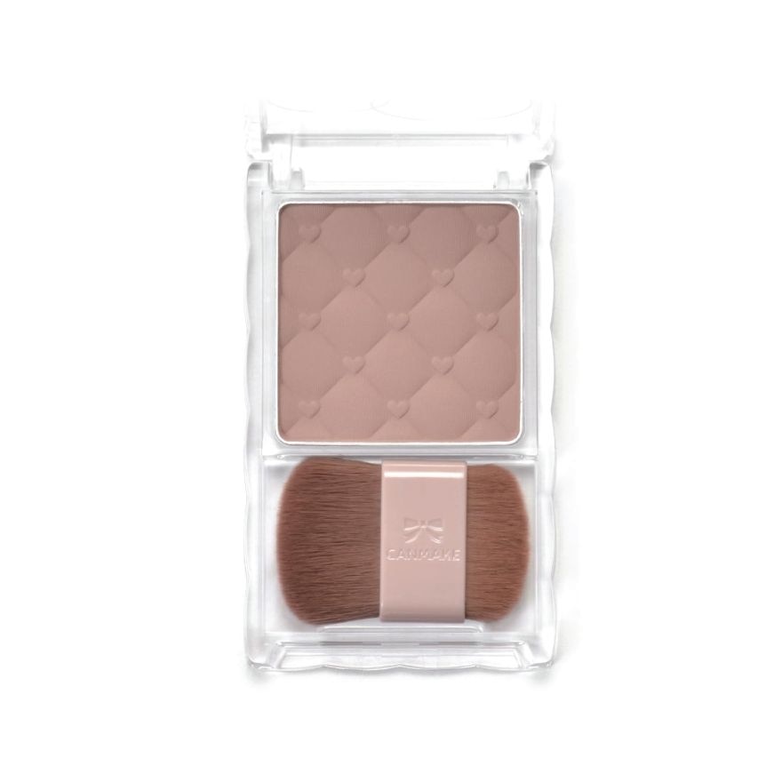 Shading Powder 04 Ice Gray Brown