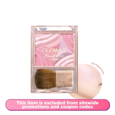 CEZANNE Blend Color Cheek 02