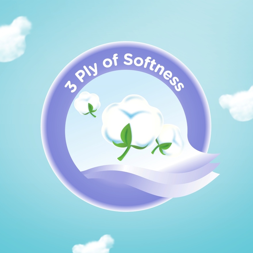 Facial Tissue Soft Box Teddy Soft 3PLY (100s x 4)