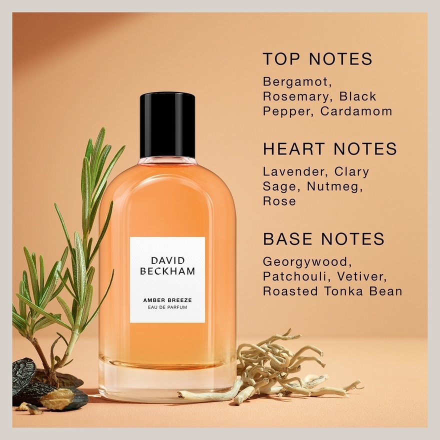 EDP Amber Breeze 100ML