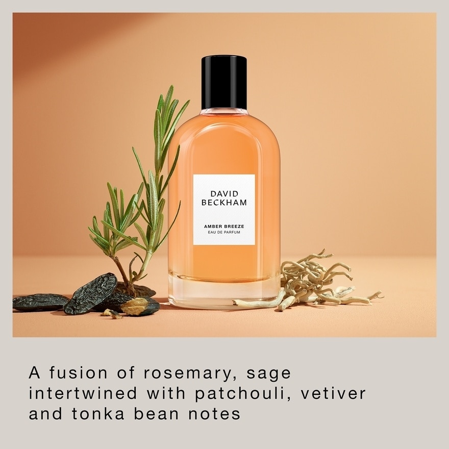 EDP Amber Breeze 100ML