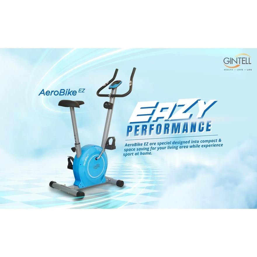 Cycling AeroBike EZ FT202