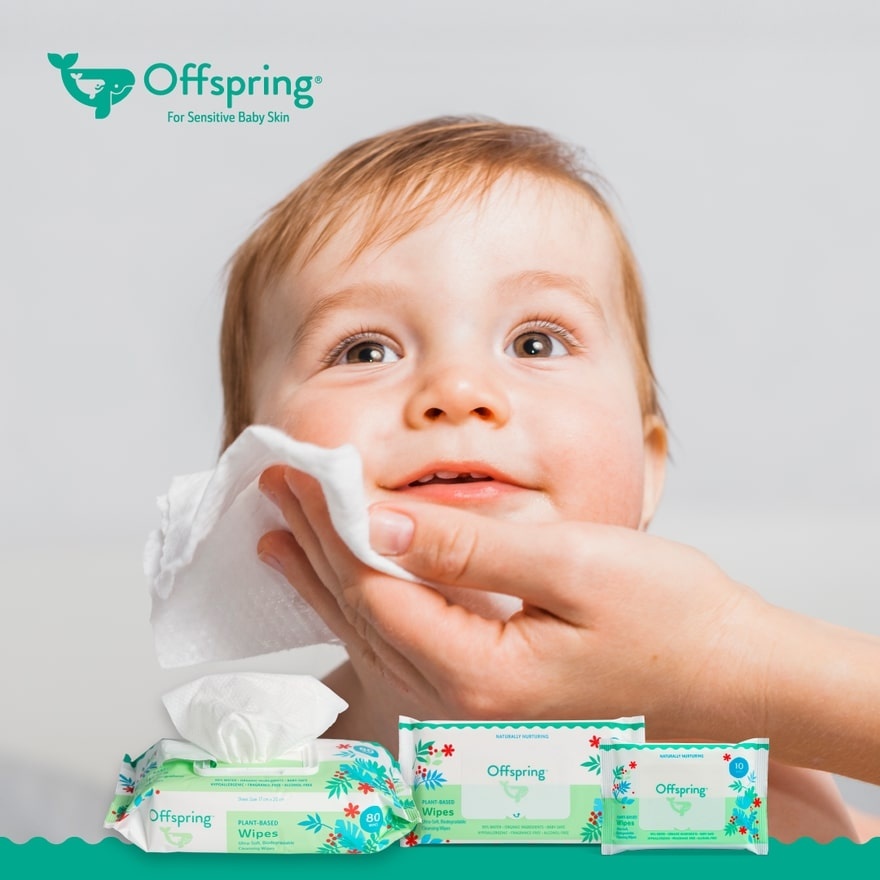 Plant Based Wipes 20S X 6 Packs Bundle image
