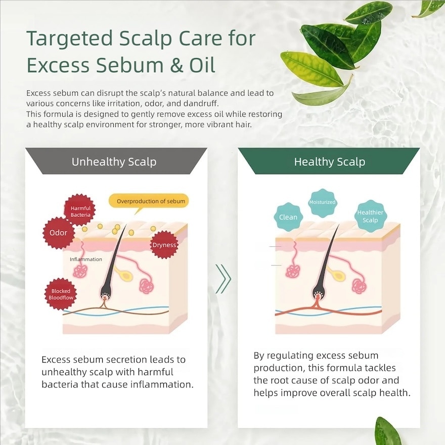 Japan SPA Premium Shampoo Deep Cleanse 460ml