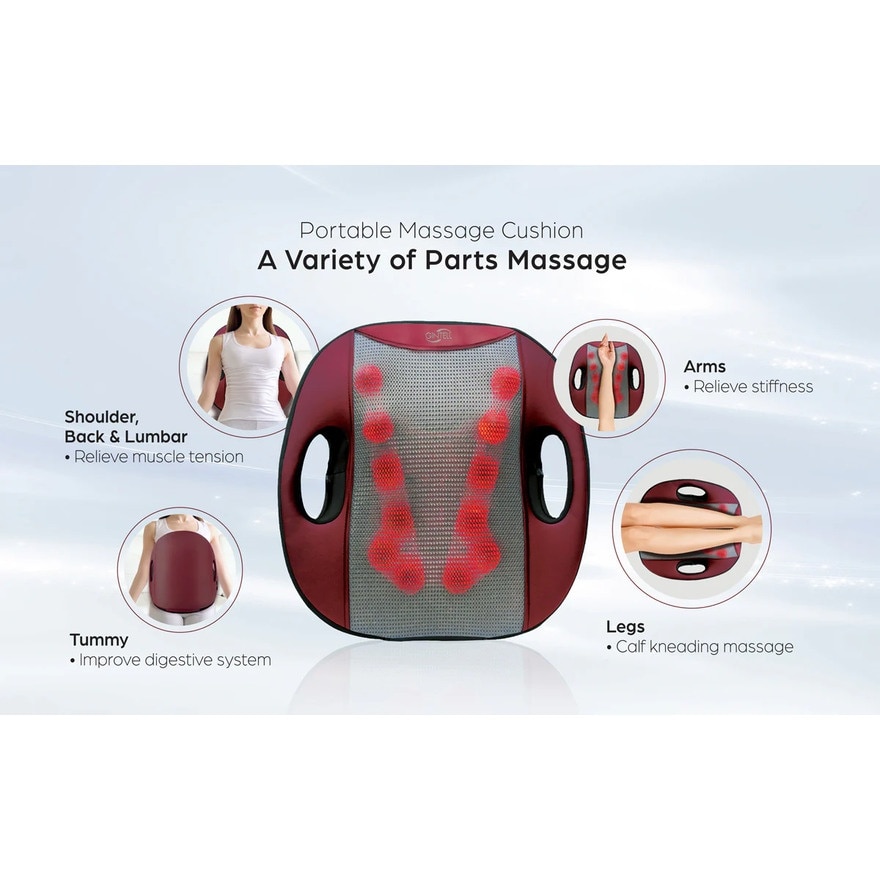 G Flexi Portable Massage Cushion GT650GM