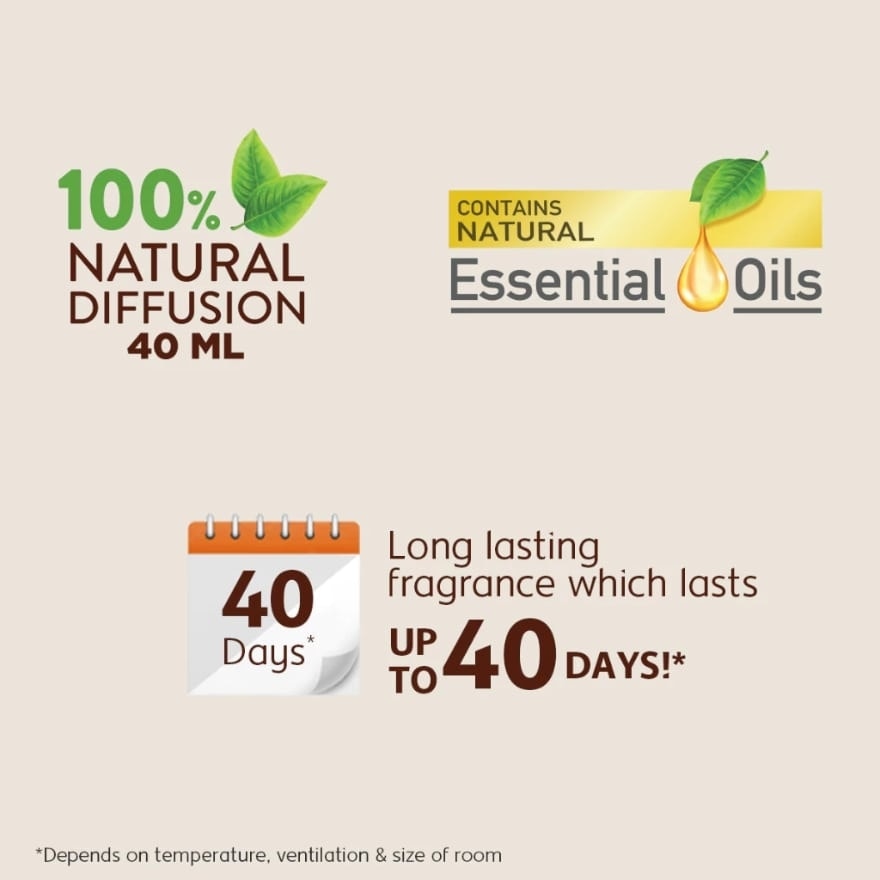 Reeds 50ml x 2 bundle Set