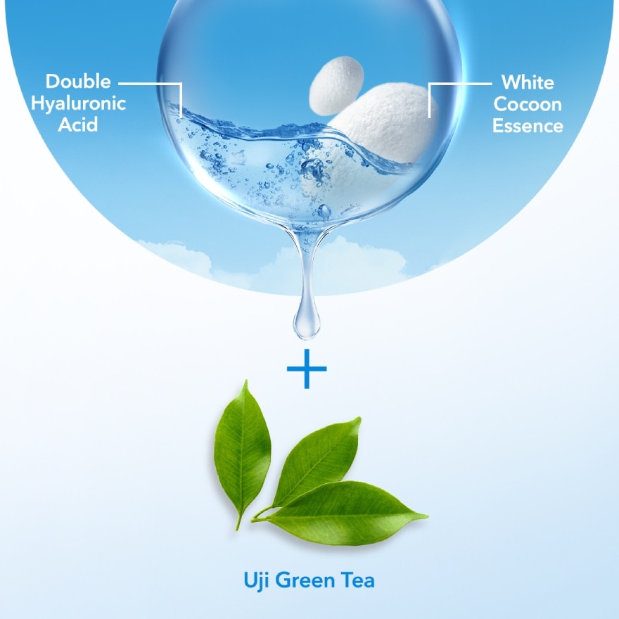 Perfect Whip Fresh 100g Twin Pack + Assorted Perfect Whip 15g