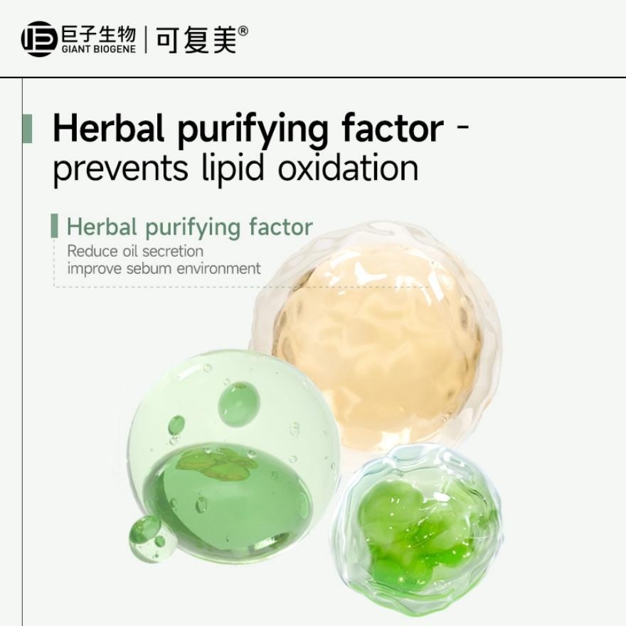 Rare Ginsenoside Oil Control and Purifying Clay Mask 10 pcs