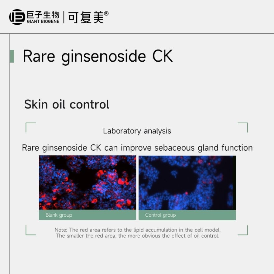 Rare Ginsenoside Oil Control and Purifying Clay Mask 3 pcs image