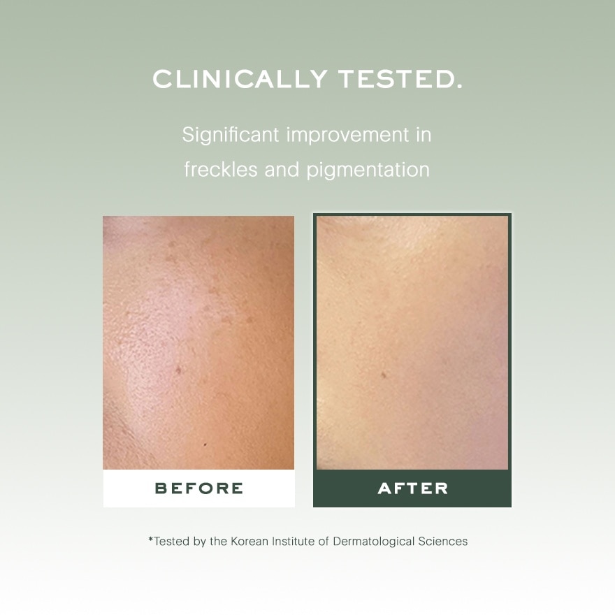 Holy Hyssop Serum 30 50g