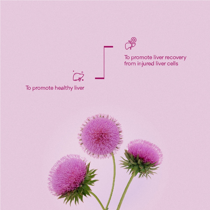 Milk Thistle Plus 330mg 60s image