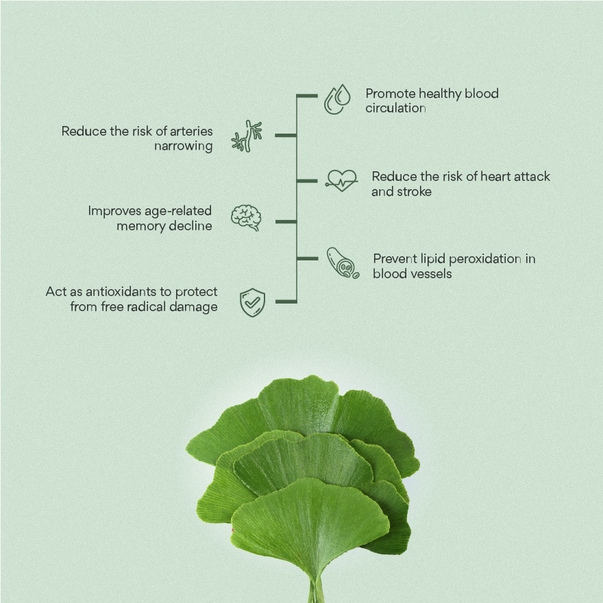 Ginkgo 100 300mg 60s