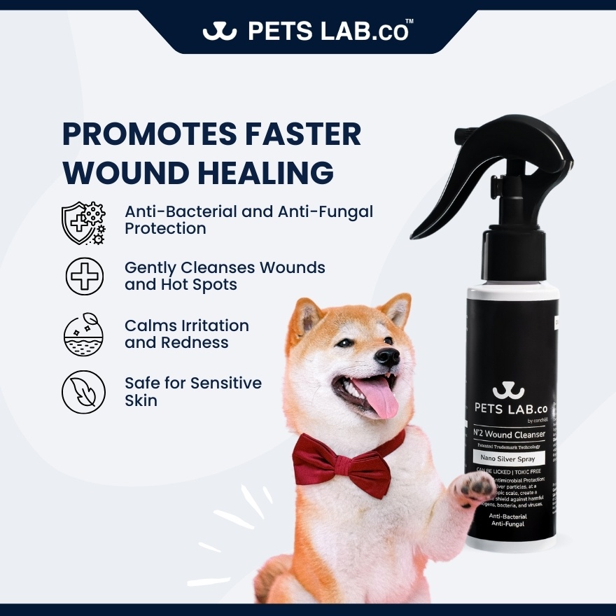 N'2 Pet Wound Cleanser Nano Silver Spray 100ml