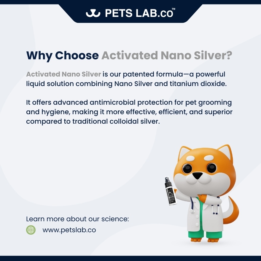 N'1 Pet Ear Cleanser Nano Silver Spray 100ml