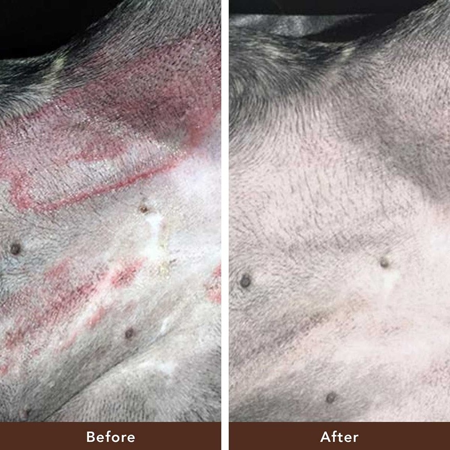 Skin Soother 59ml image