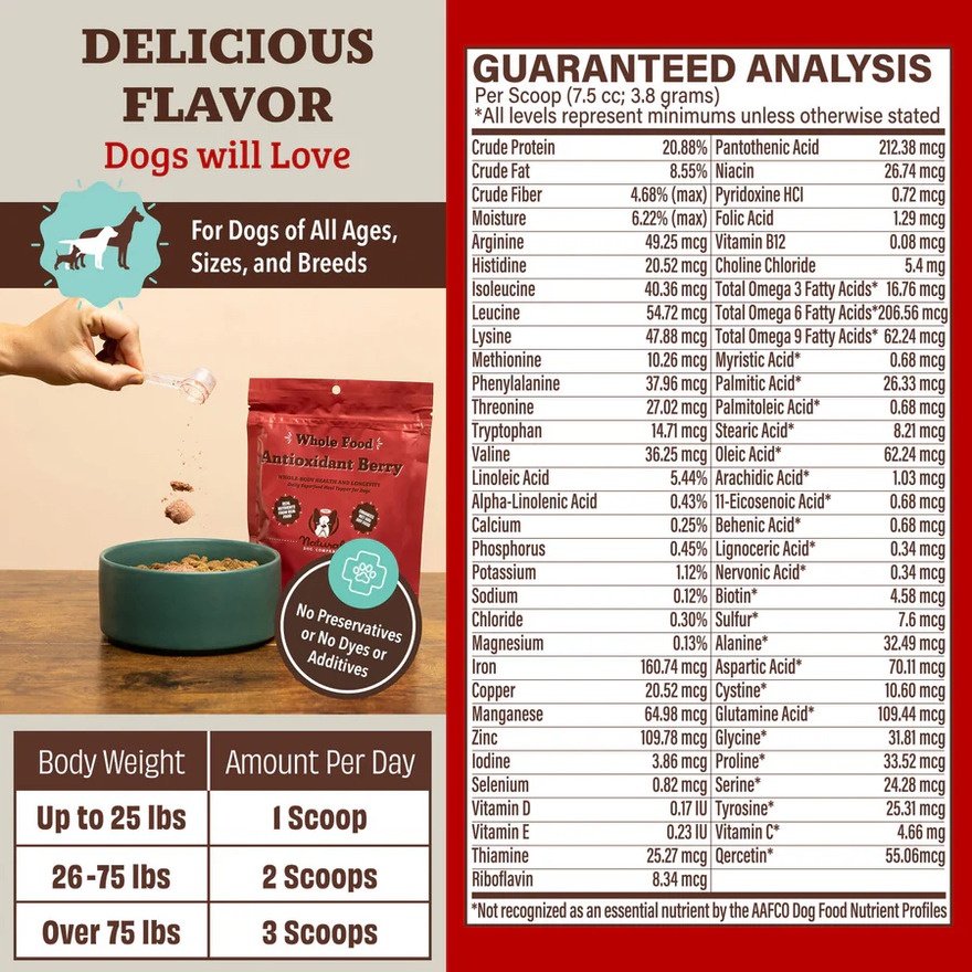Whole Food Antioxidant Berry 228g image