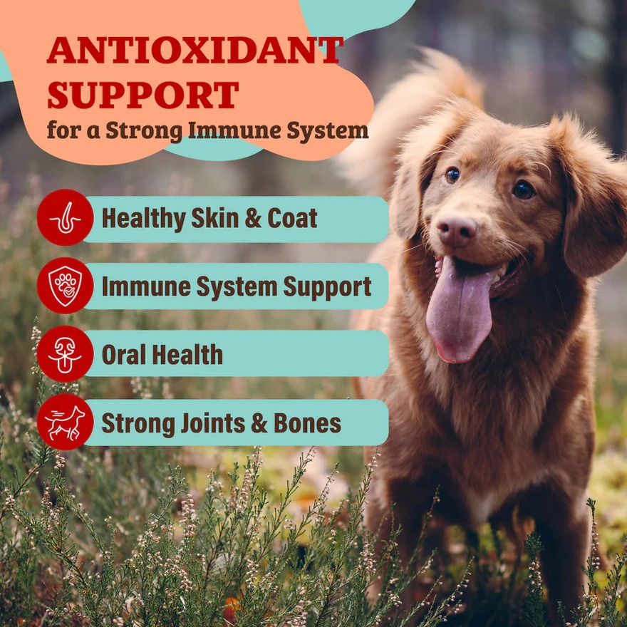 Whole Food Antioxidant Berry 228g image
