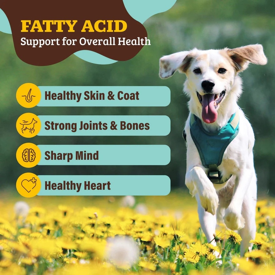 Whole Food Super Seeds 204g