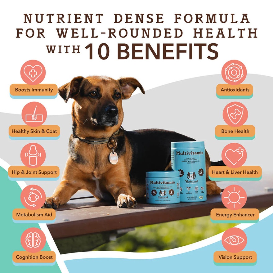 Multivitamin 270g 90s image