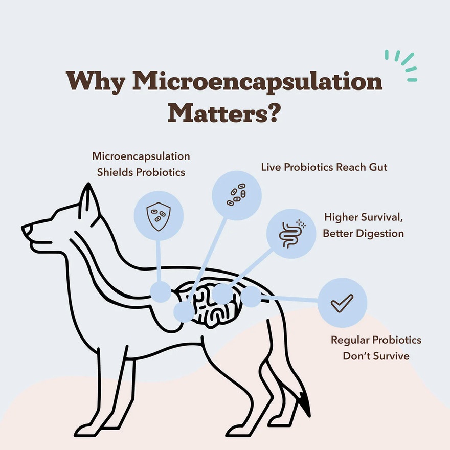 Dog Probiotics 225g 45s image