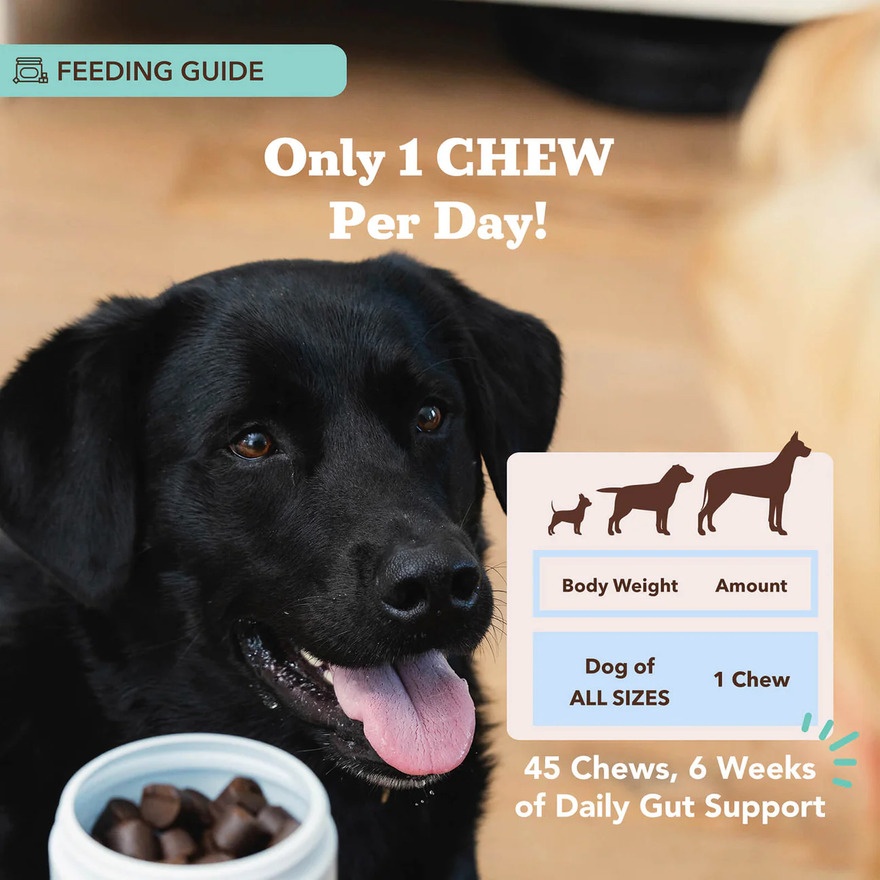 Dog Probiotics 225g 45s image