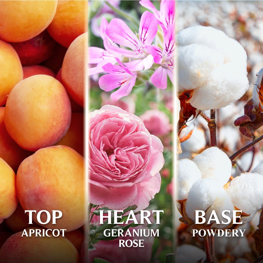 EDT English Rose & Geranium 50ml image