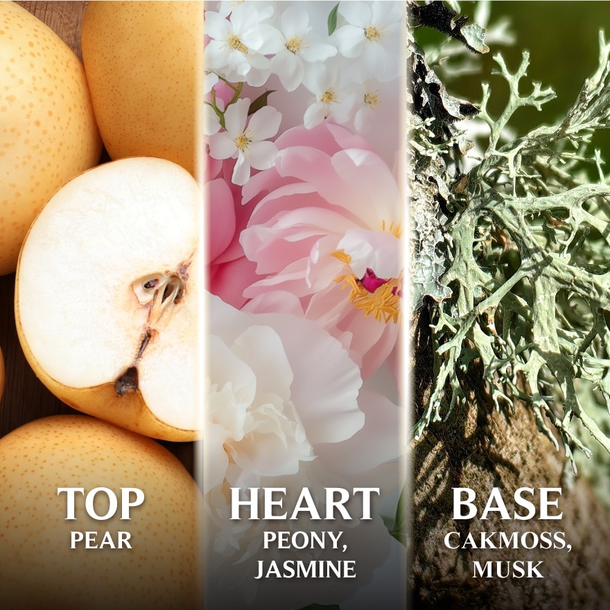 EDT Pear & Peony 50ml