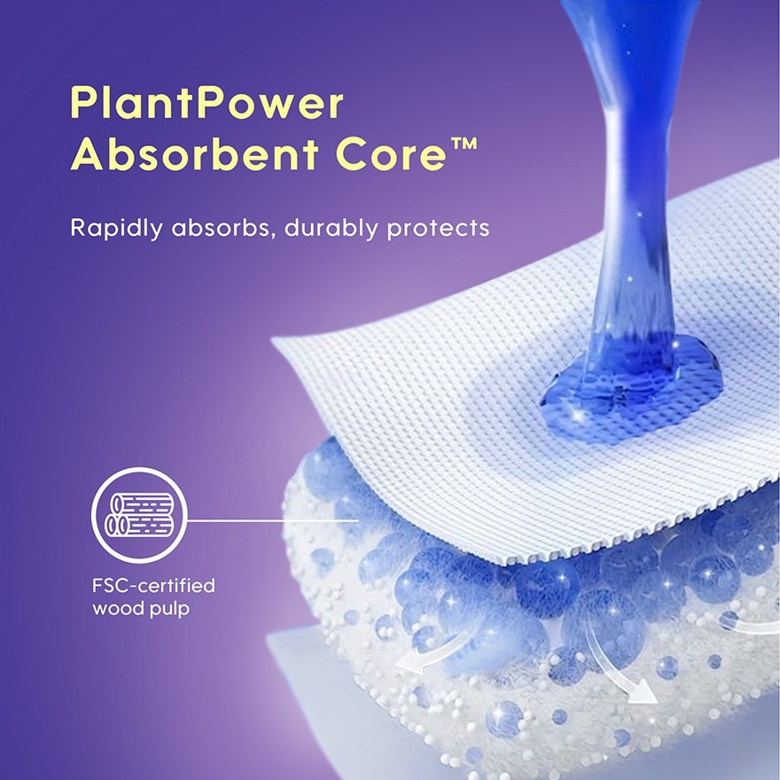 Adult Overnight Sanitary Panties (XXL/XXXL 3pcs x 1Pack)