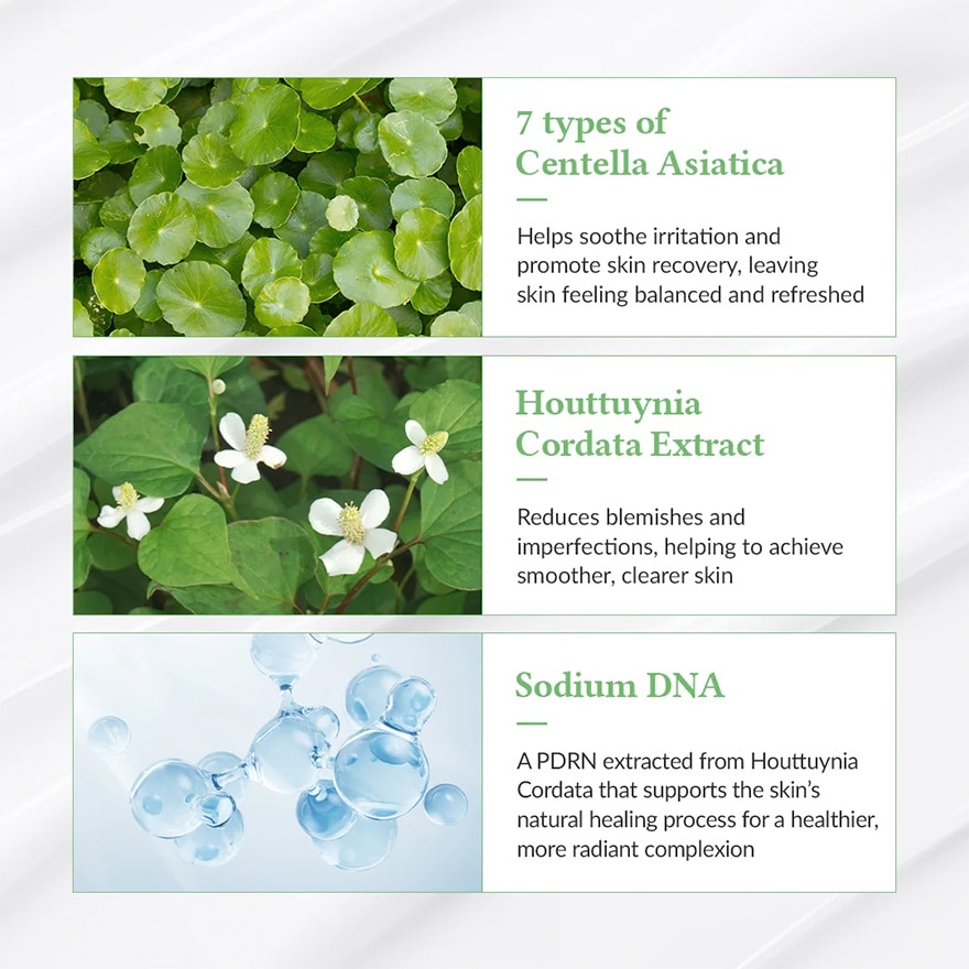 Green Tea Fresh Sunscreen 45ml