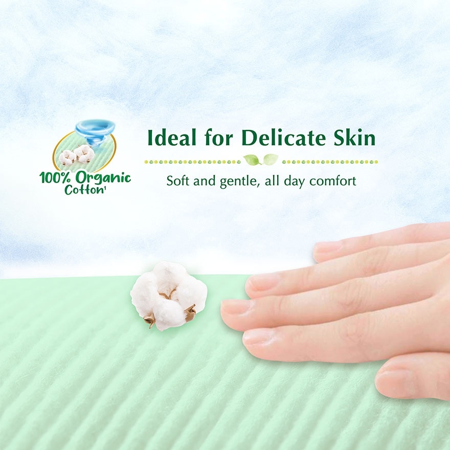 Extra Dry Nature Pants XXL20's