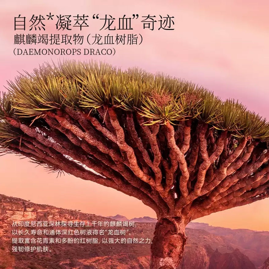 Dragon's Blood Lentinus Fermentation Facial Treatment Mask 5s