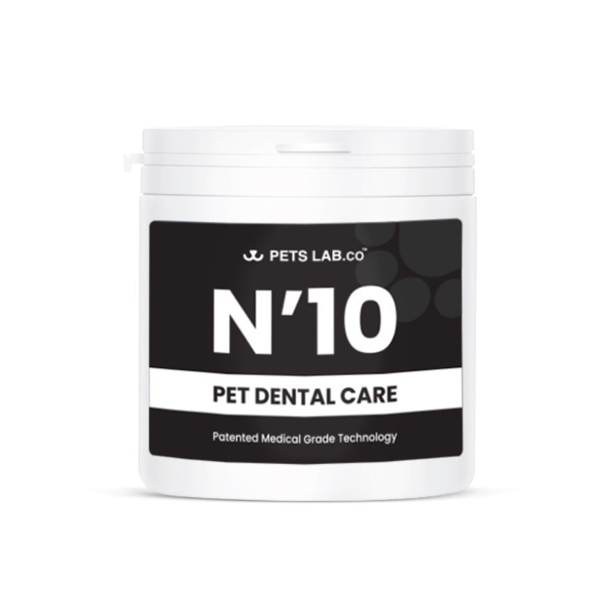 N10 Pet Dental Care 50s