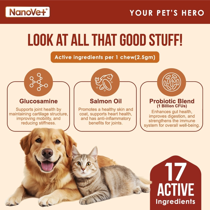 Multivitamin Chewable 45s