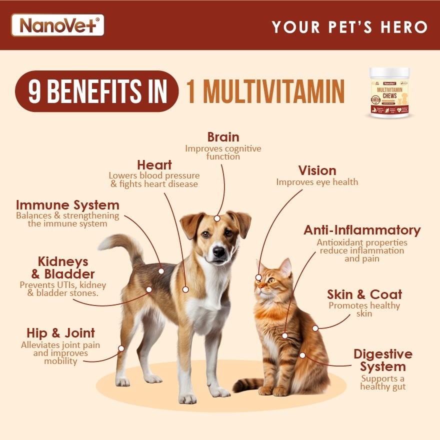 Multivitamin Chewable 45s
