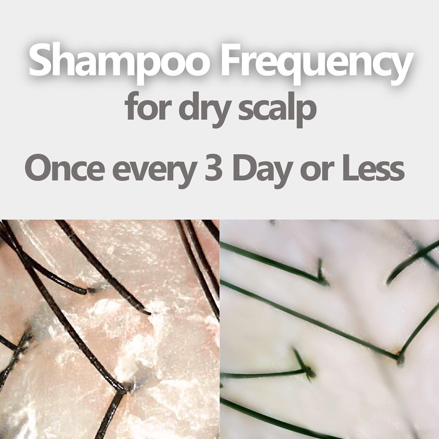 Dry Scalp Soothing Shampoo 400ml image