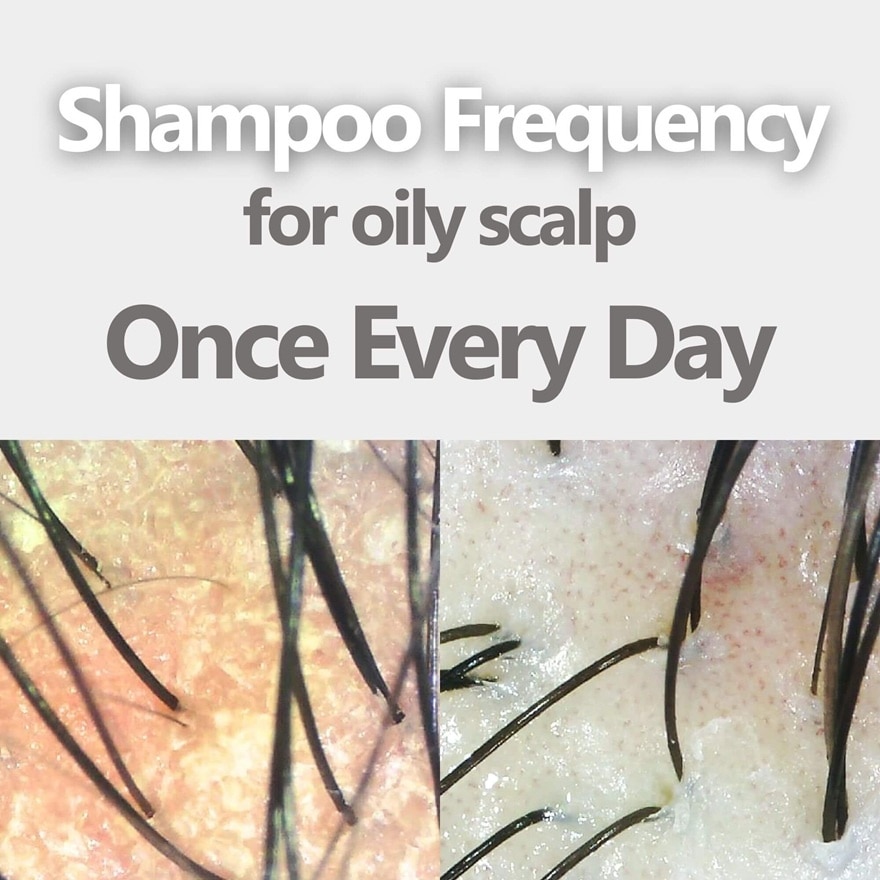 Oily Scalp Balancing Shampoo 400ml