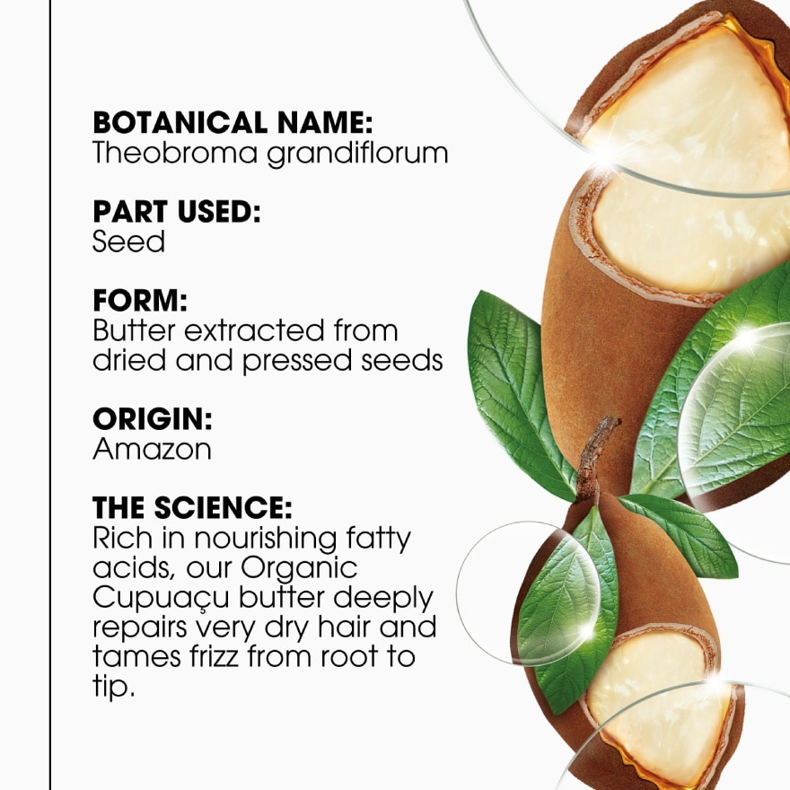 Cupuacu Repairing Cica-Shampoo 400ml - for Dry & Damaged hair