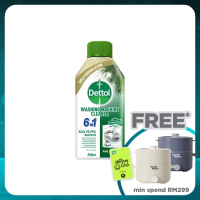 DETTOL Washing Machine Cleaner Pine 250Ml