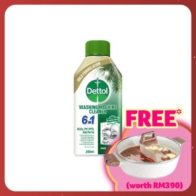 DETTOL Washing Machine Cleanser Pine 250Ml