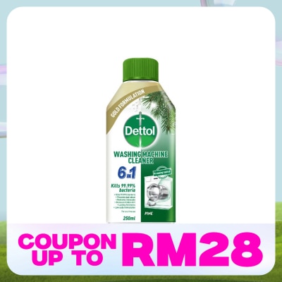 DETTOL Washing Machine Cleanser Pine 250Ml